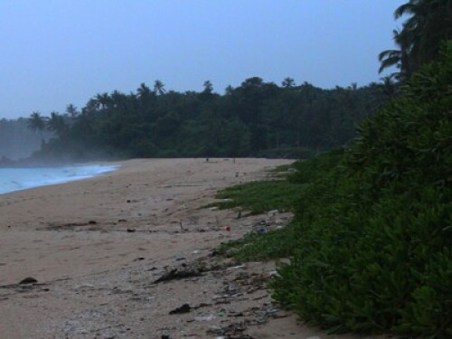 Beach view homestay - Gallery - 26