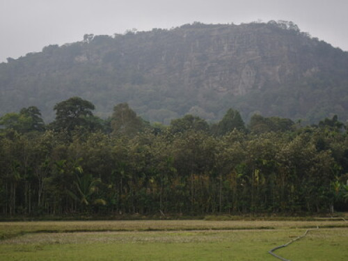 Coorg Habitat 