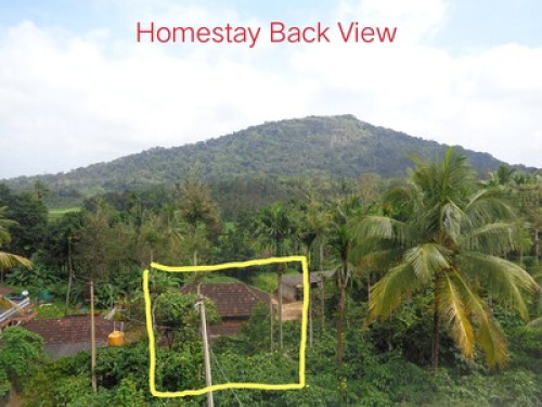 Coorg Habitat 