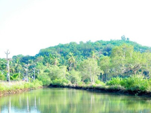 Kannur natural homestay - Gallery - 8