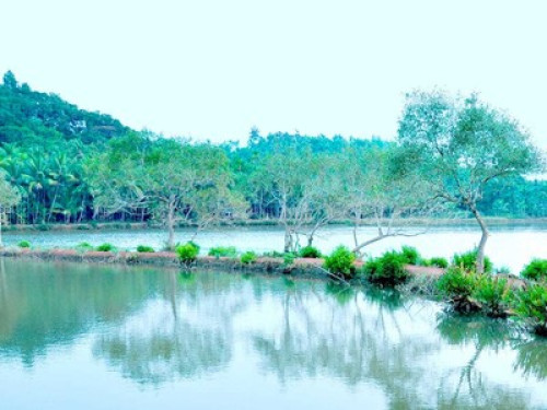 Kannur natural homestay - Gallery - 7