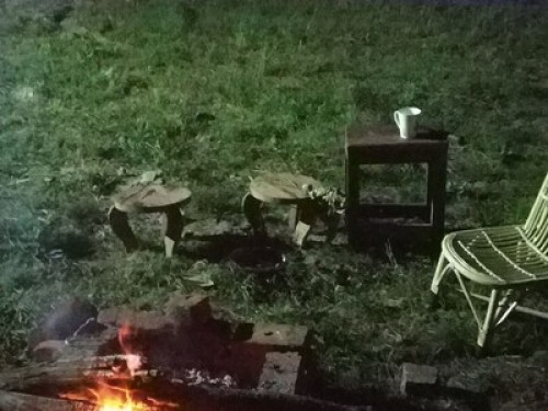 Meadow side Homestay