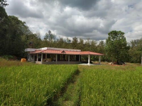 Meadow side Homestay