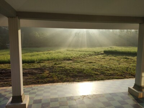 Meadow side Homestay