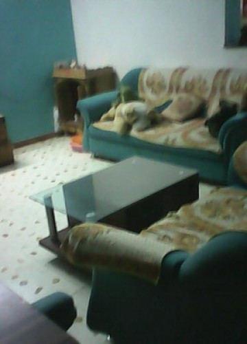 SPORTY,LOVING,INFORMATIVE, FAMILY  