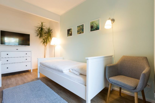 Serviced loft apartment Construction manager Project manager Apartment