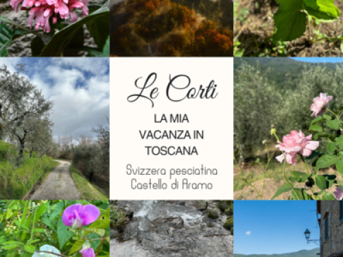 Relax in Tuscany - Gallery - 9