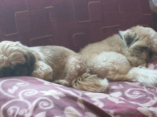 Welcome to Vaucluse and Provence 