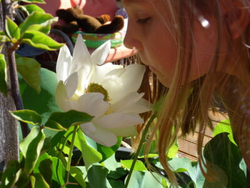 Jolie maison avec belle jardin et g