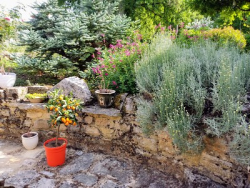 Cosy B&B room in the Dordogne