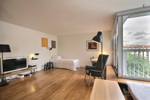Lovely studio in the 15th arrondissement