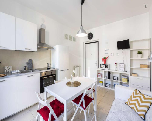 Very nice 1-bedroom apartment in Corvetto