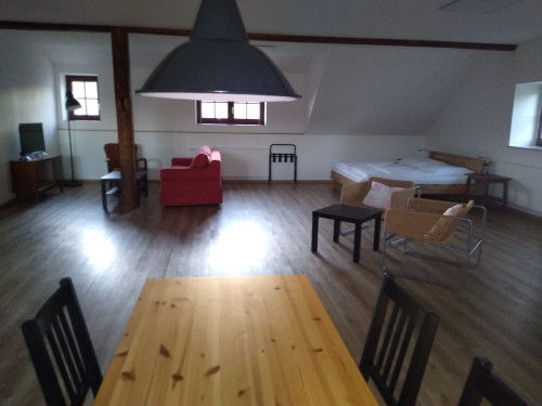 Holiday Farm Steindörfel - Leaning Barn 4