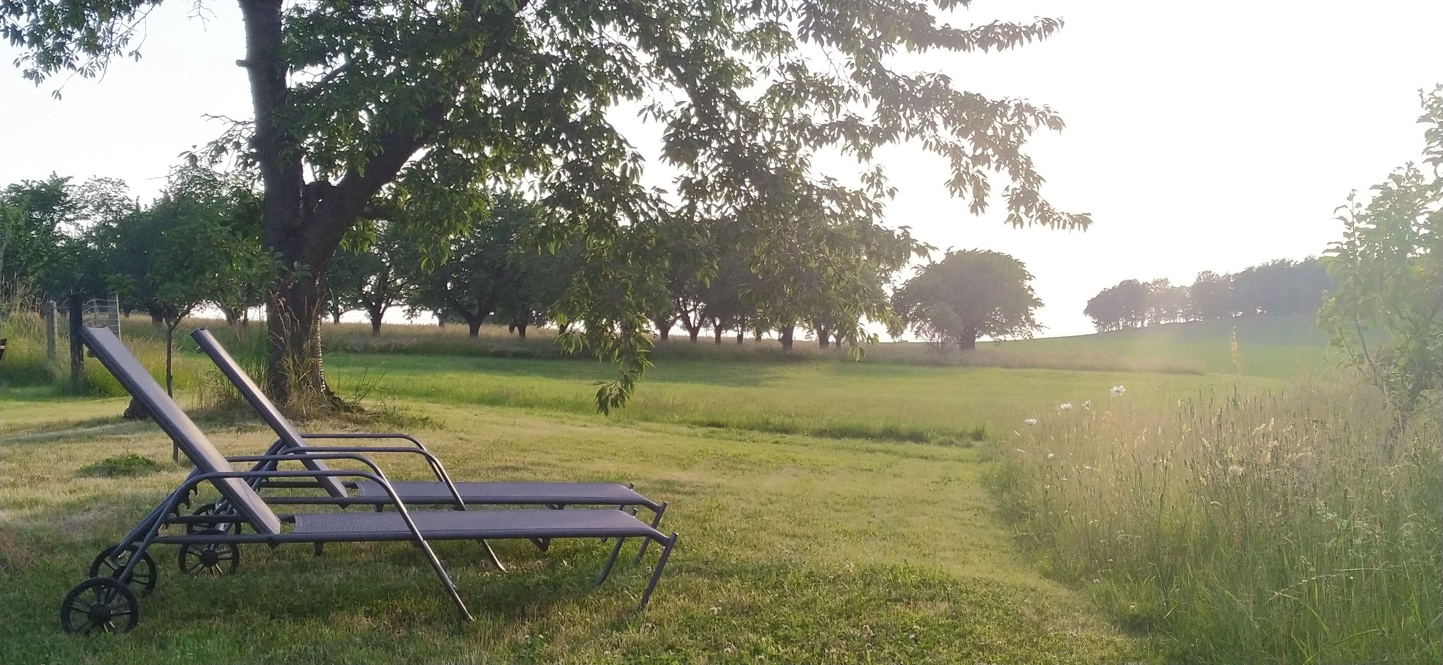 Holiday Farm Steindörfel - Leaning Barn 4 - Holiday Farm Steindörfel - Leaning Barn 4 - Gallery - 12