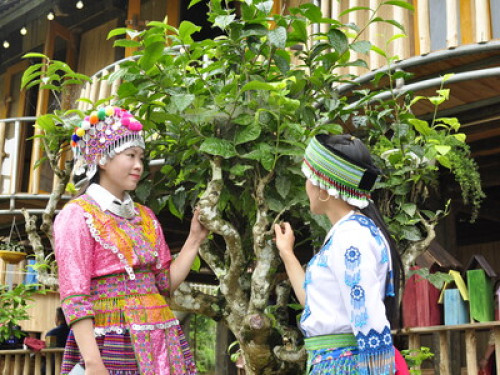 Suoi Giang Homestay on the mountain