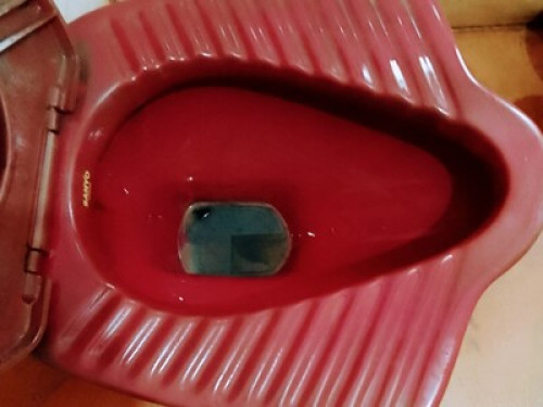 Home stay with Chiranjib 