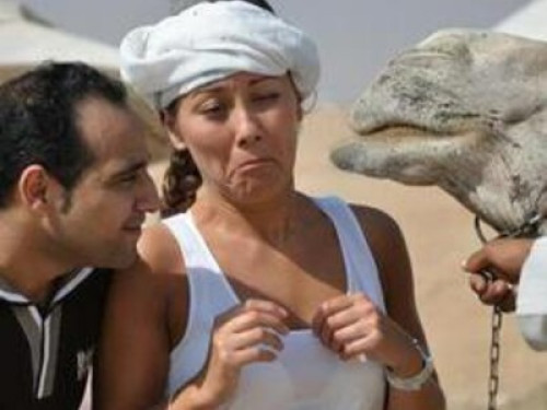 Friendly and fun in Egypt 