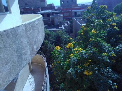 Royal pyramids Inn - Gallery - 17