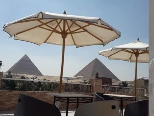 mr brown sugar egypt pyramids view