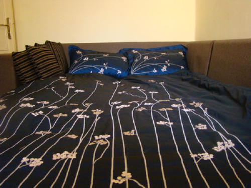 Luxurious house in z heart of Cairo