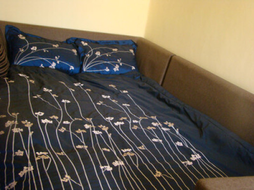 Luxurious house in z heart of Cairo