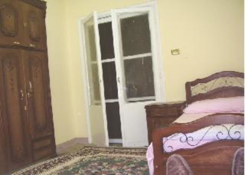 Great Pyramids friendly host - Gallery - 5