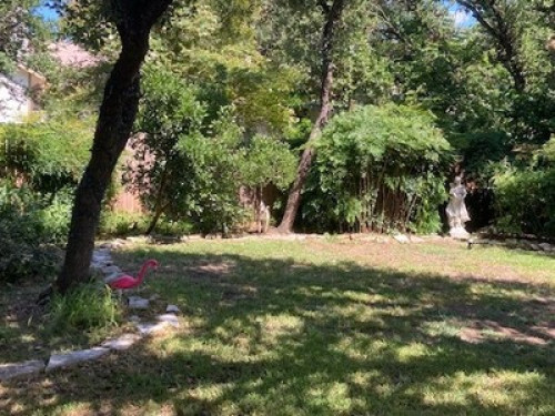 A Peaceful Place in Austin, TX - Gallery - 5