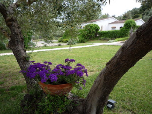 Nature &  gourmet food in one place  - Gallery -  5