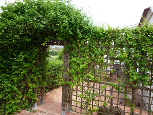 Nature &  gourmet food in one place - Gallery - 6