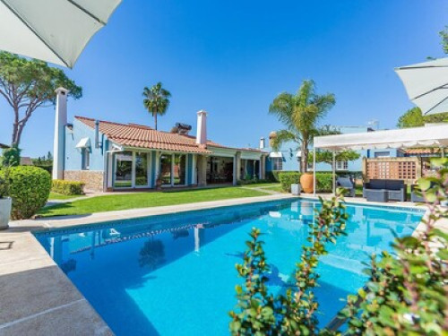 Blue house - Gallery - 14