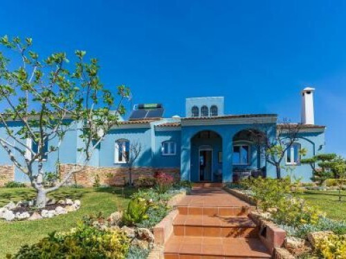 Blue house - Gallery - 10