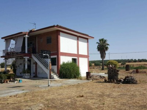 Rural house on a small farm in Merida  - Gallery -  5
