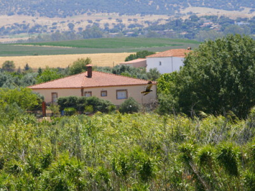 Rural house on a small farm in Merida