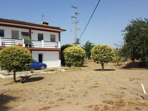 Rural house on a small farm in Merida - Gallery - 6