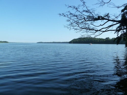 Live by the lake - at the gates of Schwerin