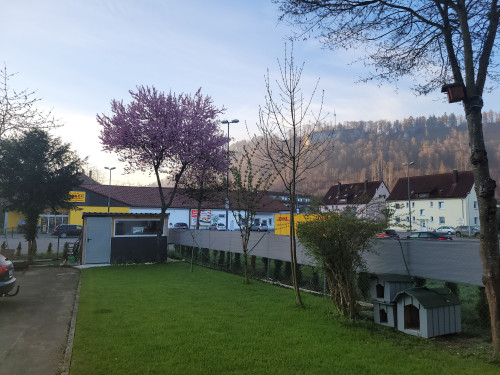 Perfect and pretty flat in Albstadt - Gallery - 14