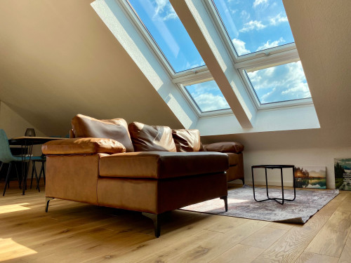 The Loft: Cute, perfect flat with nice city view, Frickingen