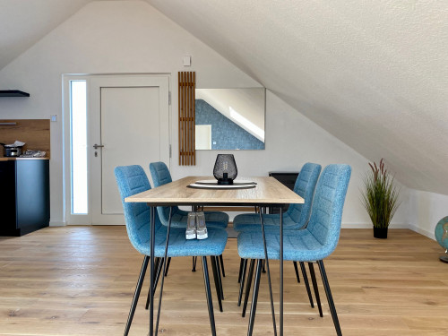 The Loft: Cute, perfect flat with nice city view, Frickingen