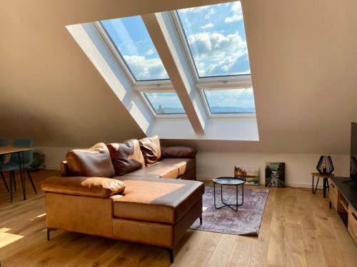 The Loft: Cute, perfect flat with nice city view, Frickingen  - Gallery -  5