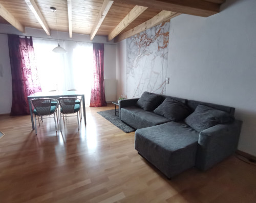 cosy apartment with fireplace near Bodensee Lake