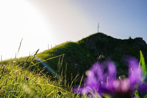 Berger Wohlfühloase