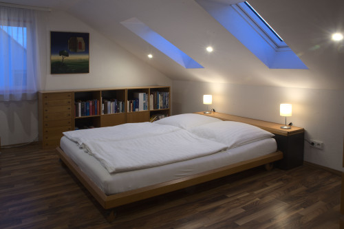 Modern 2-Bedroom-Apartment