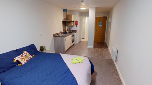 Minerva House - Gallery - 25