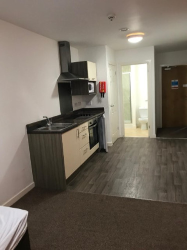 Minerva House - Gallery - 7
