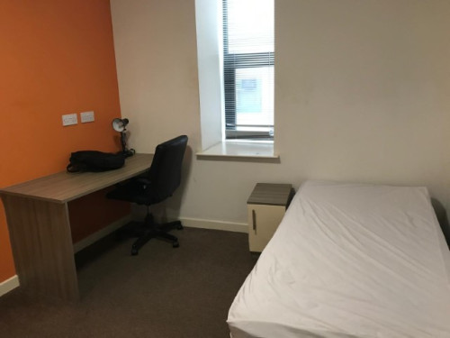 Minerva House - Gallery - 27