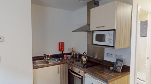 Minerva House - Gallery - 8