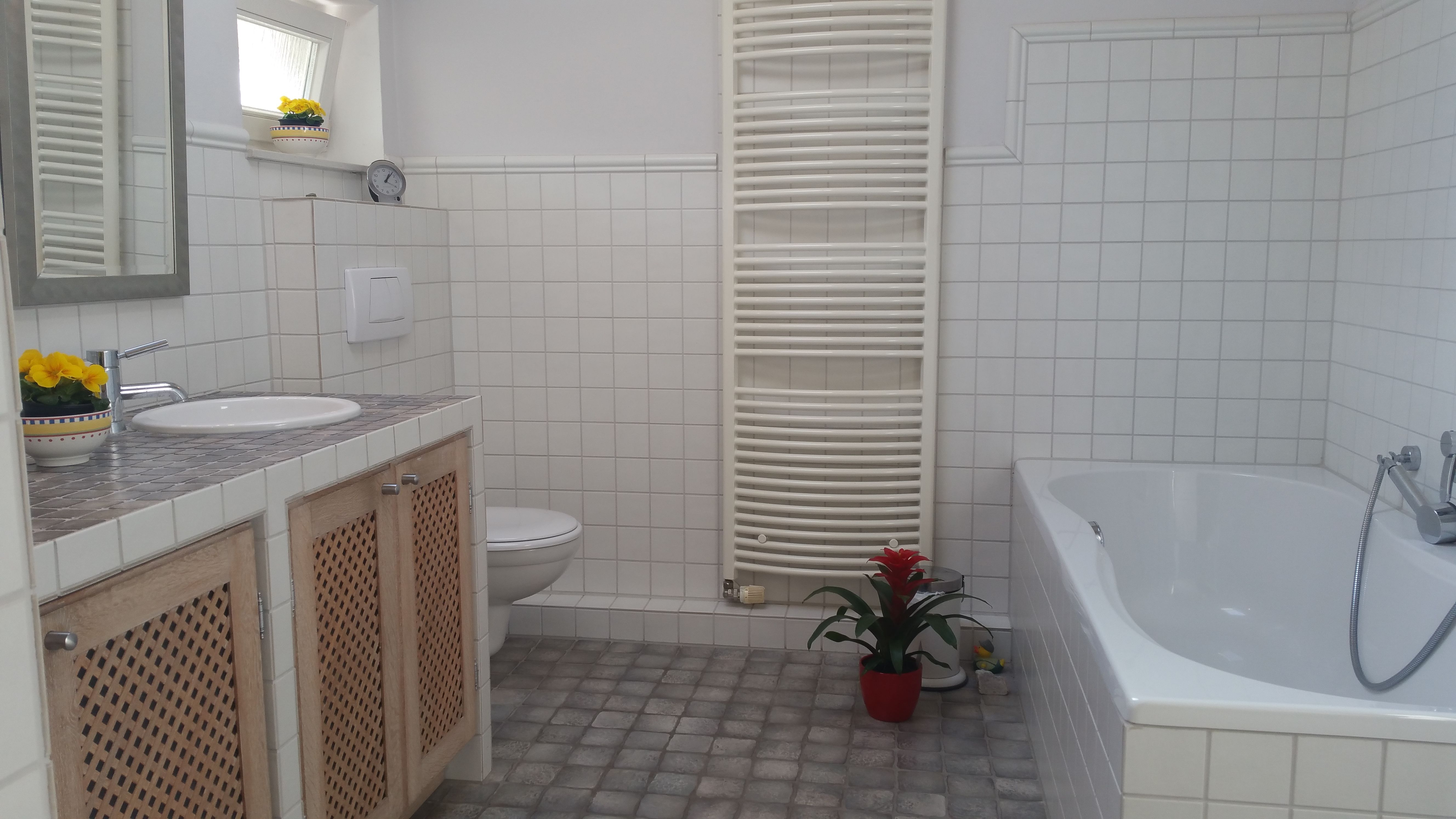Apartment On The Rhine, 20 Minutes From Bonn/ 45 Minutes From Cologne. Furnished Perfect For People  - 7
