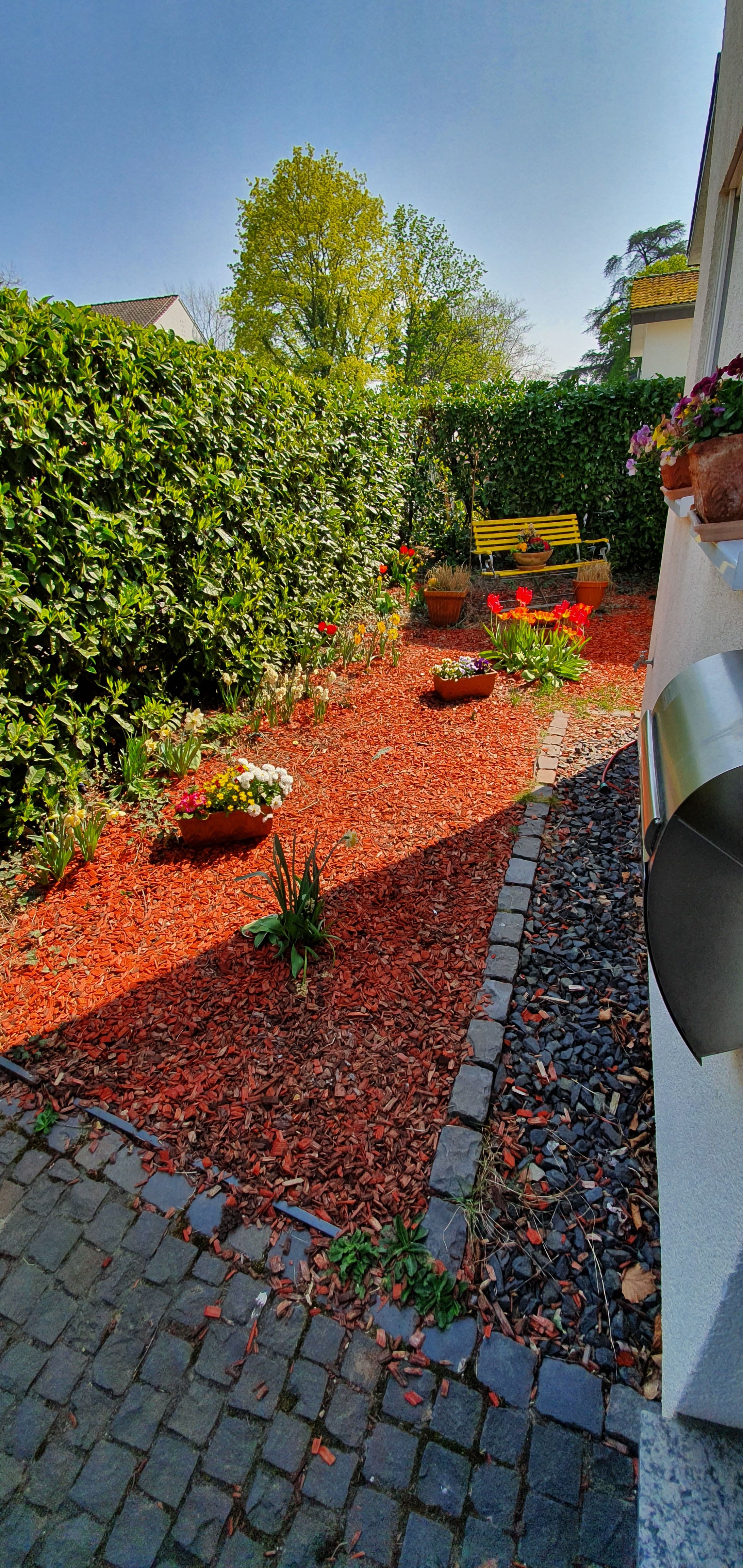 Apartment On The Rhine, 20 Minutes From Bonn/ 45 Minutes From Cologne. Furnished Perfect For People  - 12
