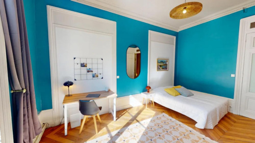 Alluring double bedroom in the centre of Lyon