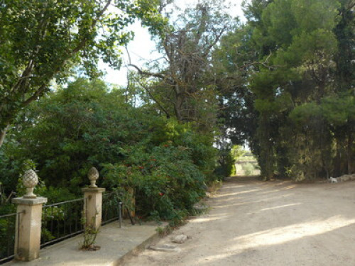 Casa rural Torre de Campos - Gallery - 16